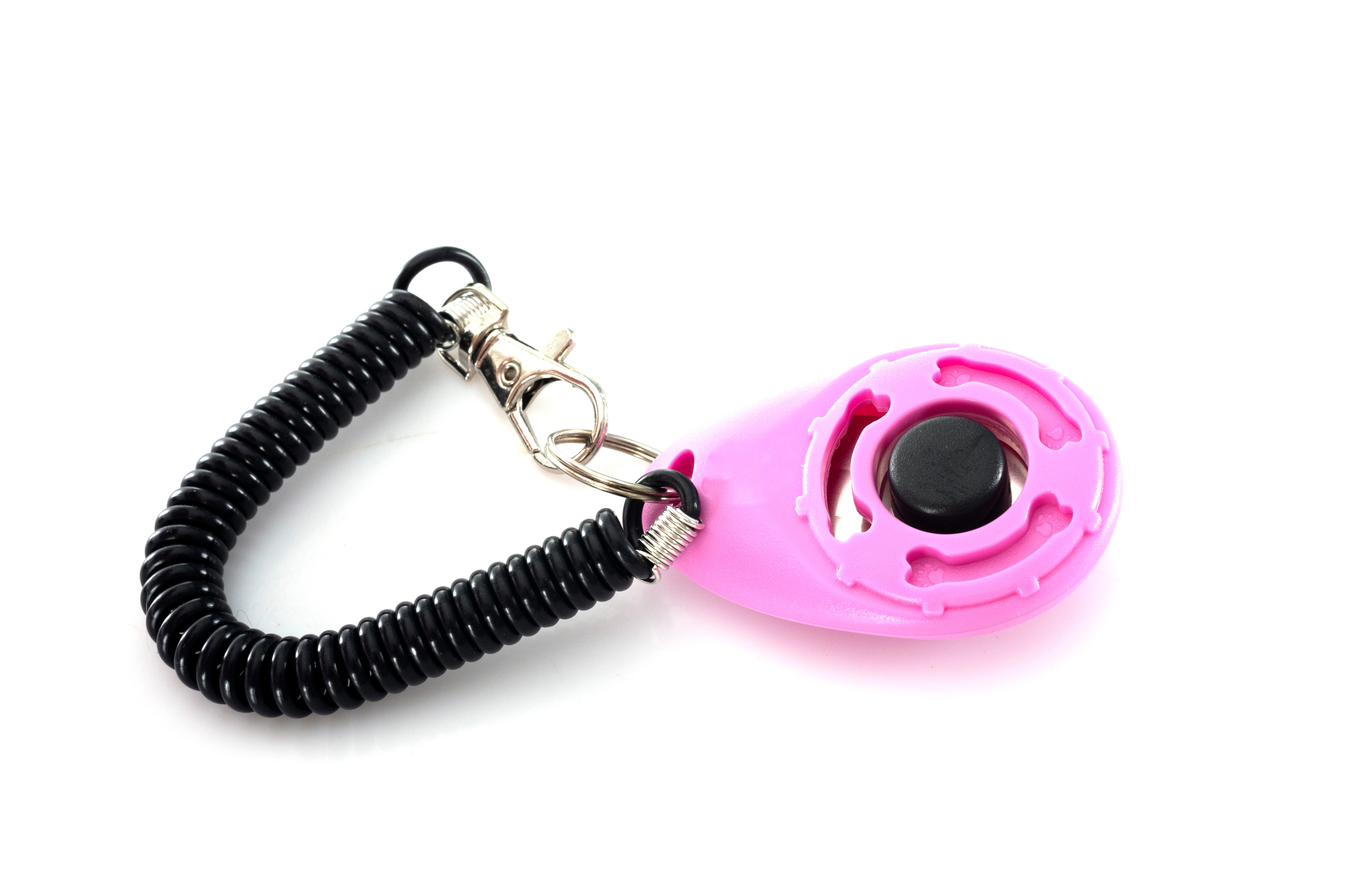 Leiser Hunde Clicker in Nahaufnahme